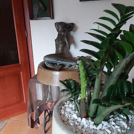 Centrum Ulan Resort 3*